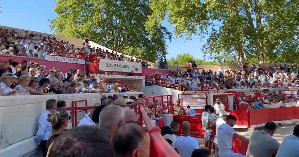Contre-piste La chronique Bouvine de Marie-France SabatiéBeaucaire : En prélude…