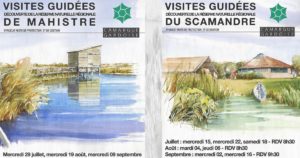 Au cœur des Réserves de Mahistre et du Scamandre : suivez le guide