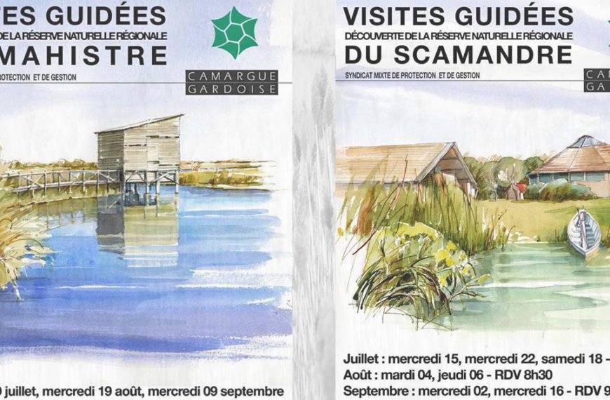 Au cœur des Réserves de Mahistre et du Scamandre : suivez le guide
