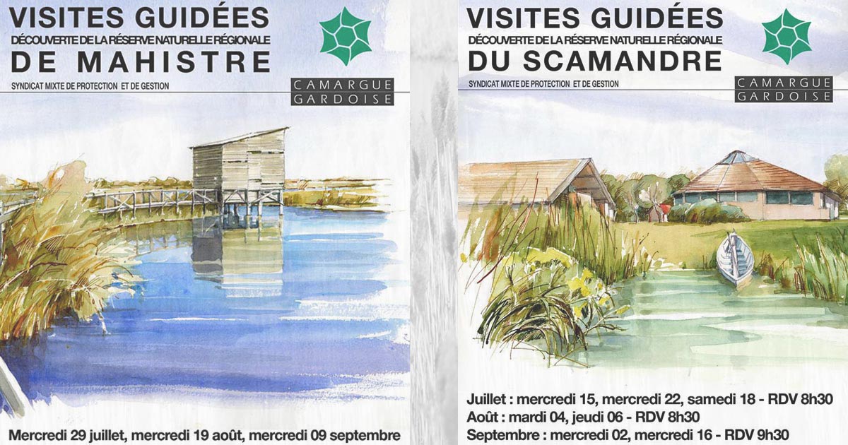 Au cœur des Réserves de Mahistre et du Scamandre :…