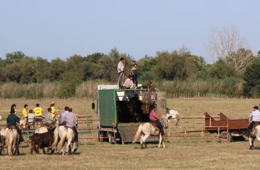 fête votive Franquevaux