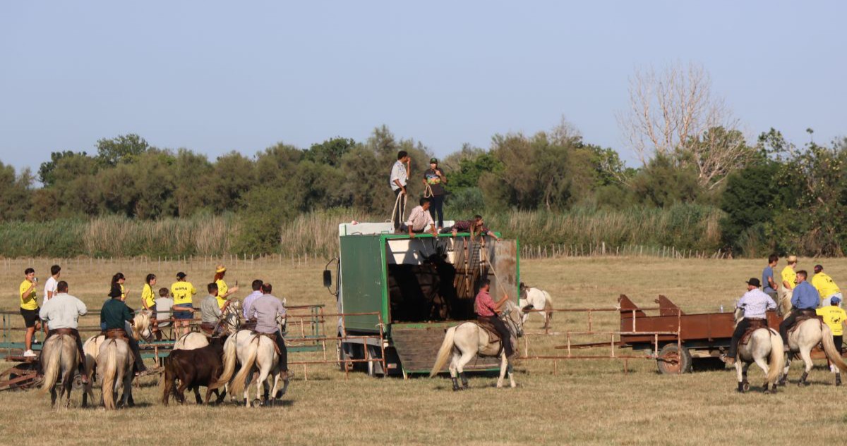 fête votive Franquevaux