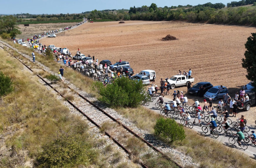 L’abrivado longue de la journée à l’ancienne toujours aussi prisée