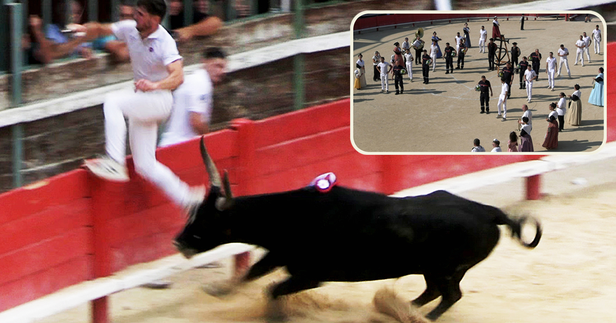 You are currently viewing C<em>ontre-piste</em> La chronique Bouvine de Marie-France Sabatié<br>Vauvert : Trophée Camargue Médical, une finale de bonne facture<br>