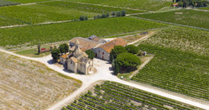 Le temps des vendanges est arrivé en Petite Camargue