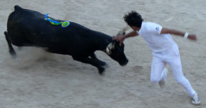 Contre-piste La chronique Bouvine de Marie-France SabatiéArles : Joachim Cadenas signe son retour pour la Feria du Riz