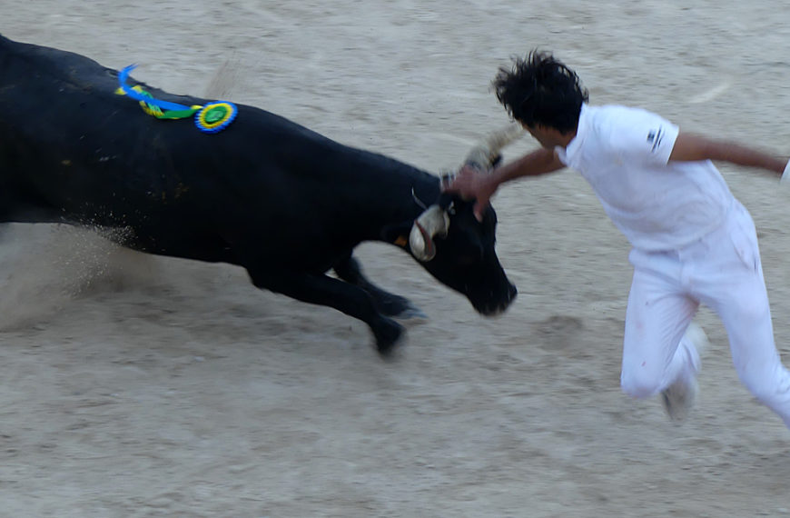 Contre-piste La chronique Bouvine de Marie-France SabatiéArles : Joachim Cadenas signe son retour pour la Feria du Riz