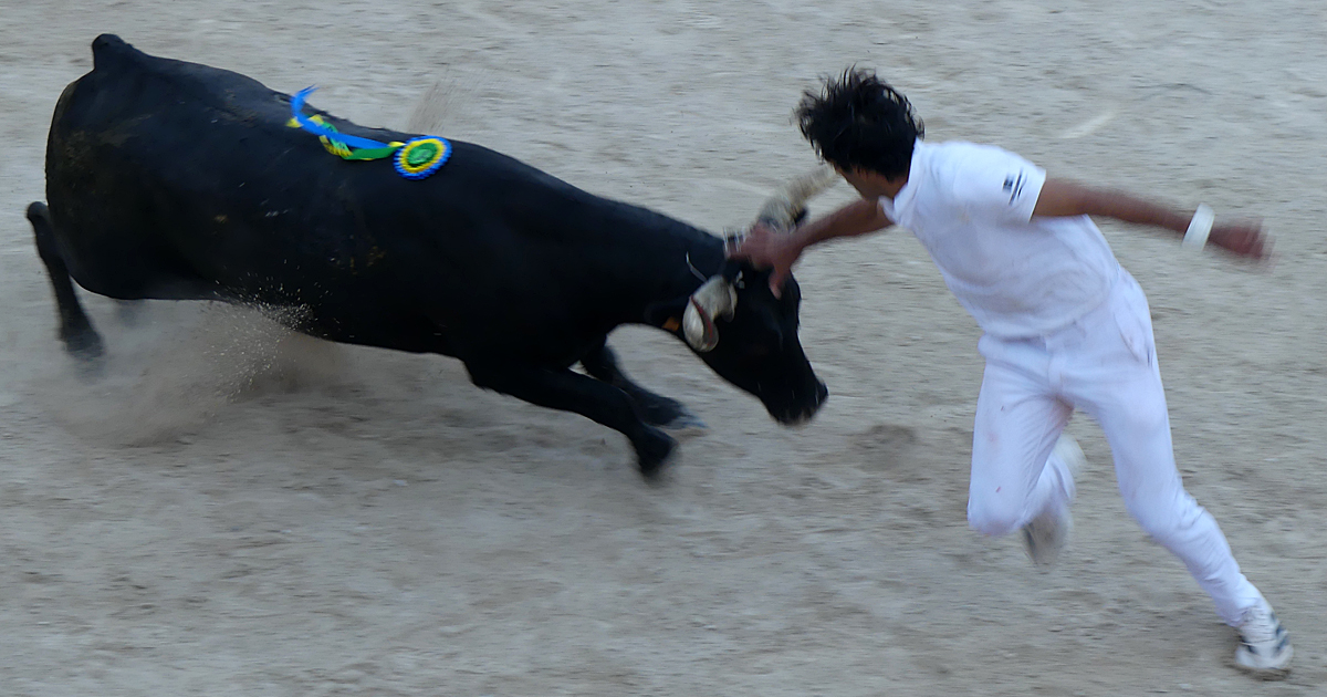 Contre-piste La chronique Bouvine de Marie-France SabatiéArles : Joachim Cadenas…