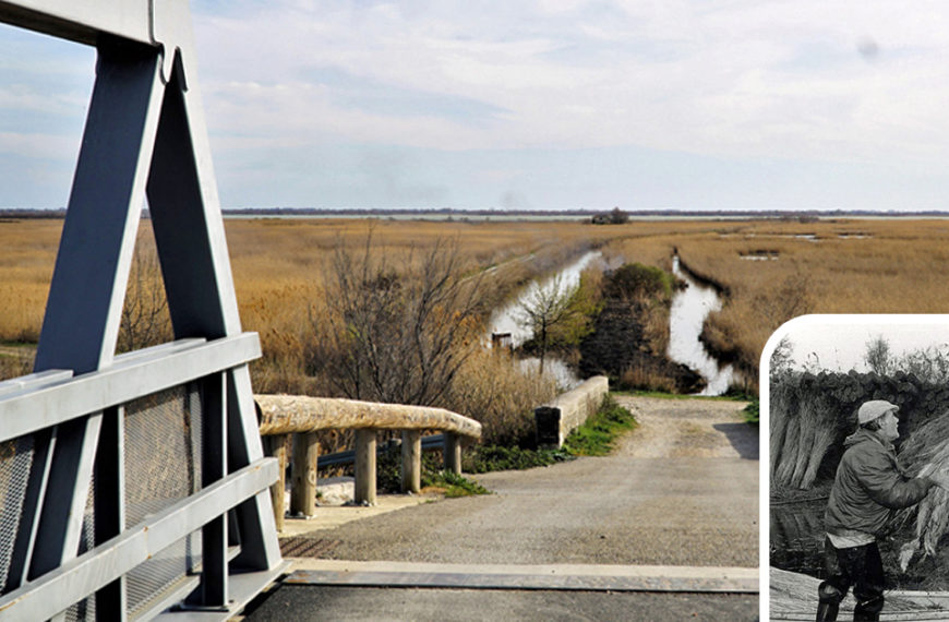 Projection du film La sagne en Petite Camargue