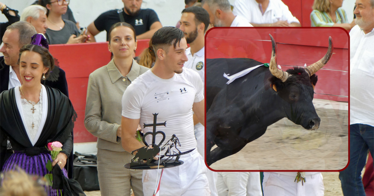 You are currently viewing <em>Contre-piste</em> La chronique Bouvine de Marie-France Sabatié<br>Châteaurenard : Finale du Trophée de l’Avenir, une très belle course !</br>